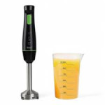 Mixeur Plongeant RAF R-313G 800w