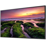 Ecran SAMSUNG QB50B 50'' 4K 60 Hz